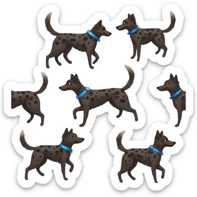  Black spotted brindle fluffy lurcher fox blue eyes fluffy ears and holographic harness running sticker