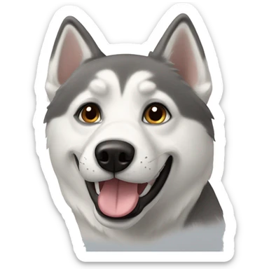 Husky with labrador sticker