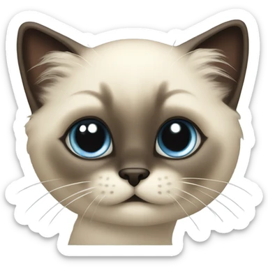 fluffy Siamese kitten play sticker