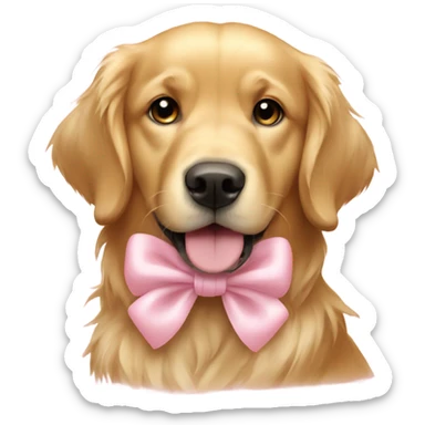 Golden retriever with light pink bow  sticker