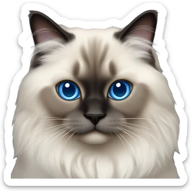himalayan ragdoll cat with blue eyes , full dark face and feet sticker