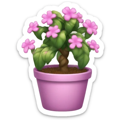 Pink princess plant  sticker