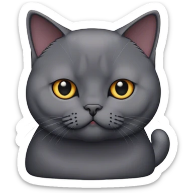 black British shorthair cat sticker
