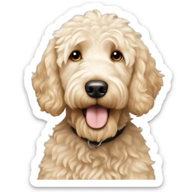 cream colored goldendoodle sticker
