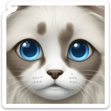 Ragdoll with blue eyes sticker