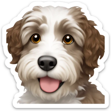 A mini aussiedoodle with brown and white fur  sticker