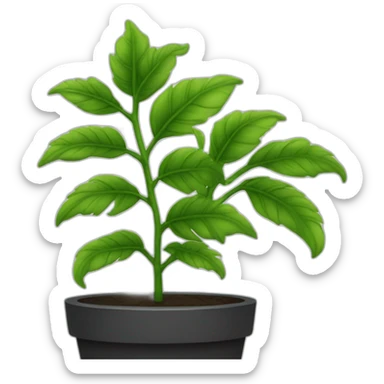 emoji de planta mostera en contornos solo color negro  sticker