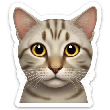 Eine süße Katze ￼  sticker