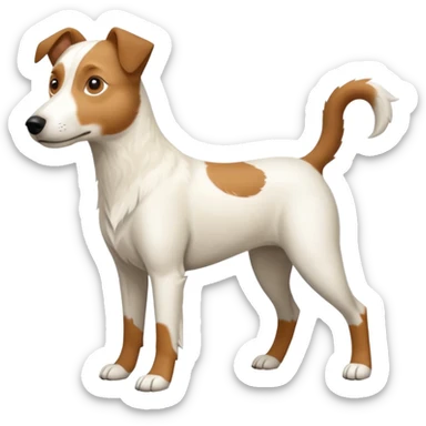 a full body large white parson russell looking dog the size of a kelpie with light brown flapped down ears and a light brown patch on one eye and a large snout sticker