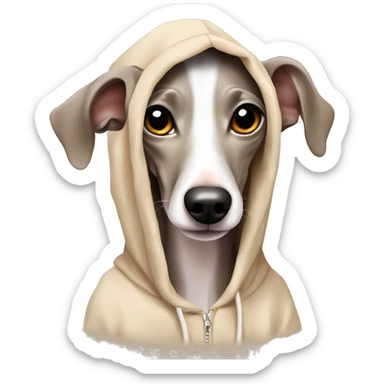 Cute dog Italian greyhound beige color in hoodie  sticker