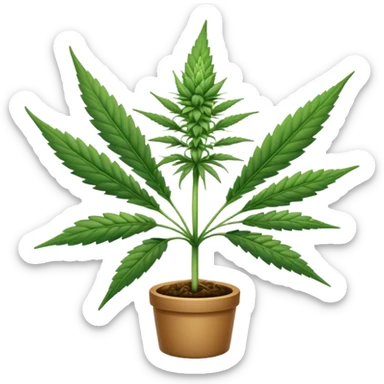weed sticker