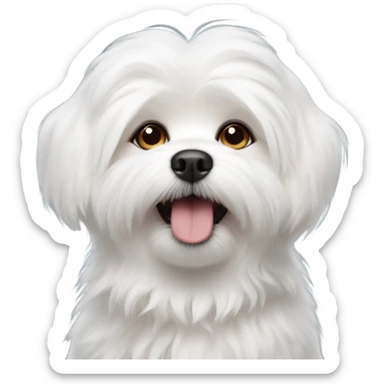 fluffy Maltese dog sticker