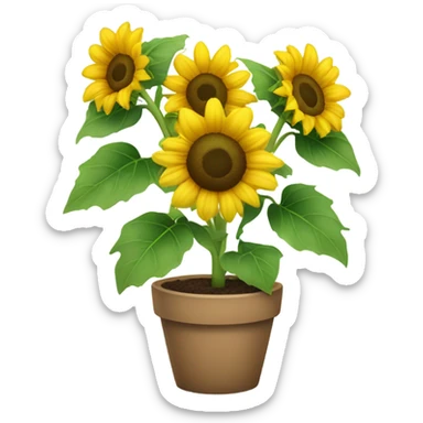 Sunflowers plant  sticker