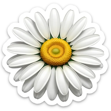 vibrant daisy flower with yellow center sticker