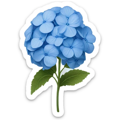 One flower of a blue hydrangea flower sticker