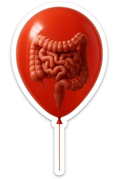 palloncino rosso con intestino anatomico realistico chiuso dentro, IPERREALISTICO 4K sticker