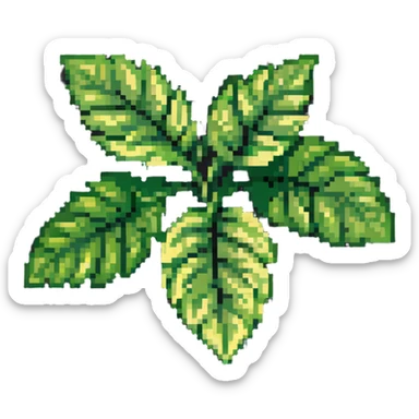 Fresh basil herb with green leaves sticker