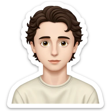 Timothee chalamet sticker