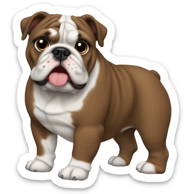 English Bulldog dark brown sticker