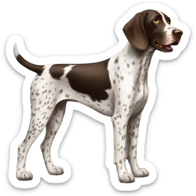 German pointer  sticker