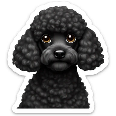 black tiny poodle with little forehead far sticker