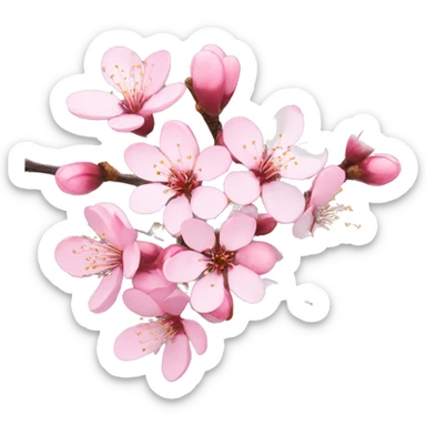Cherry Blossom sticker