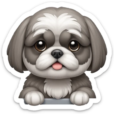 cute all grey shih tzu BEHIND A WINDOW WITH BLINDS AND PEEKING THROUGHT THE SLATS sticker