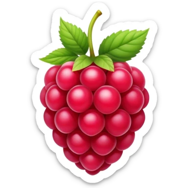 An app logo which includes raspberry sticker
