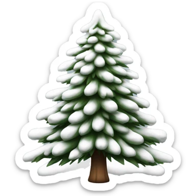  actual white fir christmas tree isolated.  sticker