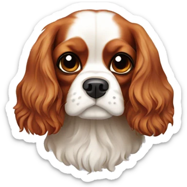 a cavalier king charles spaniel sticker