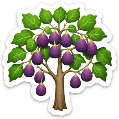 fig tree  sticker