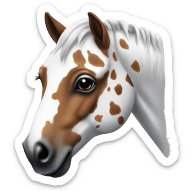 Appaloosa horse sticker