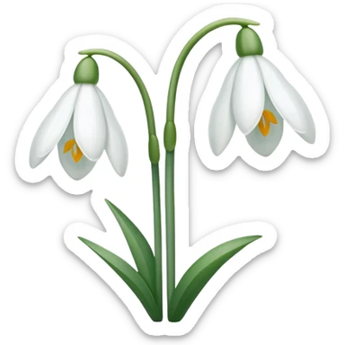 double snowdrop sticker