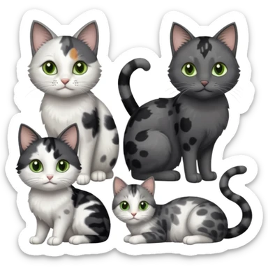 3 different coloured small cats including a dark grey and white, and a patchy calico with hazel eyes and a completely solid dark grey with green eyes and only white paws sticker