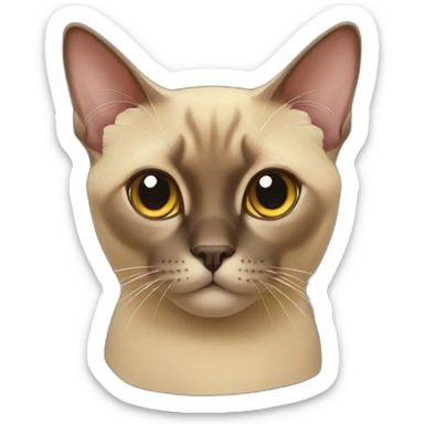 Burmese cat sticker