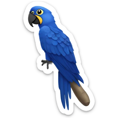 Hyacinth macaw sticker