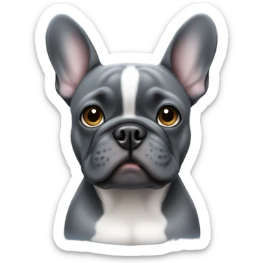 dark grey french bulldog with blue gray eyes sticker
