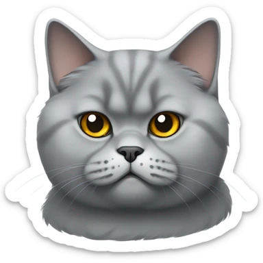 fluffy  bored looking british shorthair cat sticker