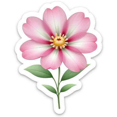 One pink flower and one white flower in transparent bouquet with red band  sticker