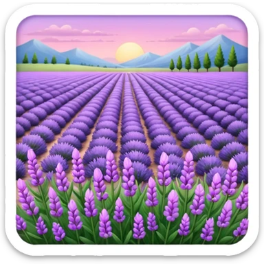 Pembe lavanta  sticker