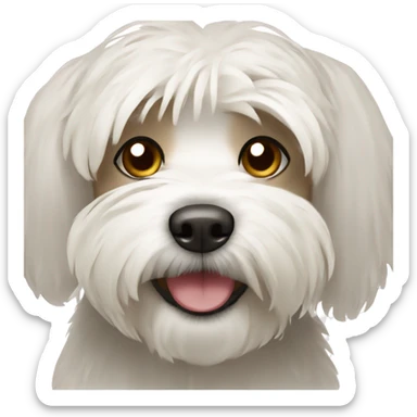 Havanese dog sticker