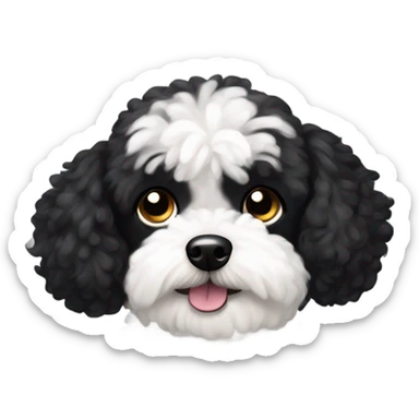 Black and white  maltipoo sticker