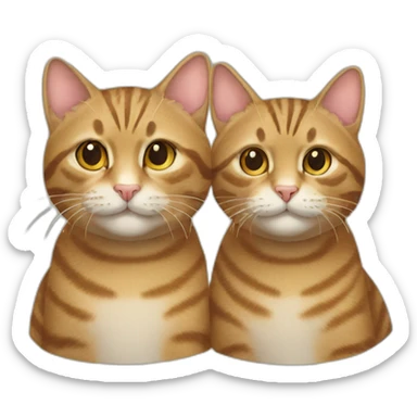 two tabby cats togheter sticker