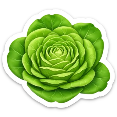 Butter lettuce sticker