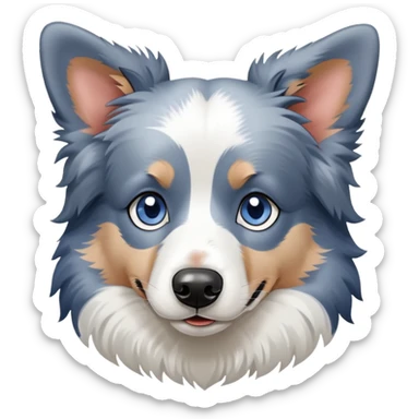 Blue Merle Border Collie  sticker