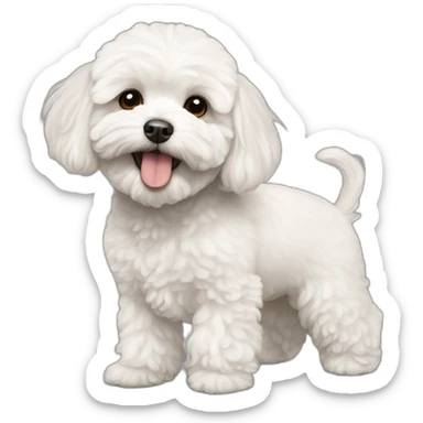 whitish maltipoo feeding sticker