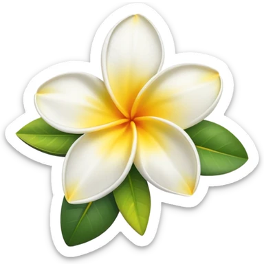 White and yellow frangipani flower sticker
