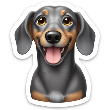 grey dachshund senior sticker