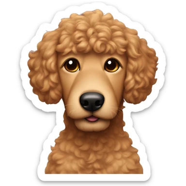 Lightskin man with mustache with red goldendoodle sticker