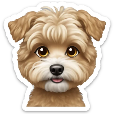 small dog with short tan curly fur. yorkie bichon mix sticker